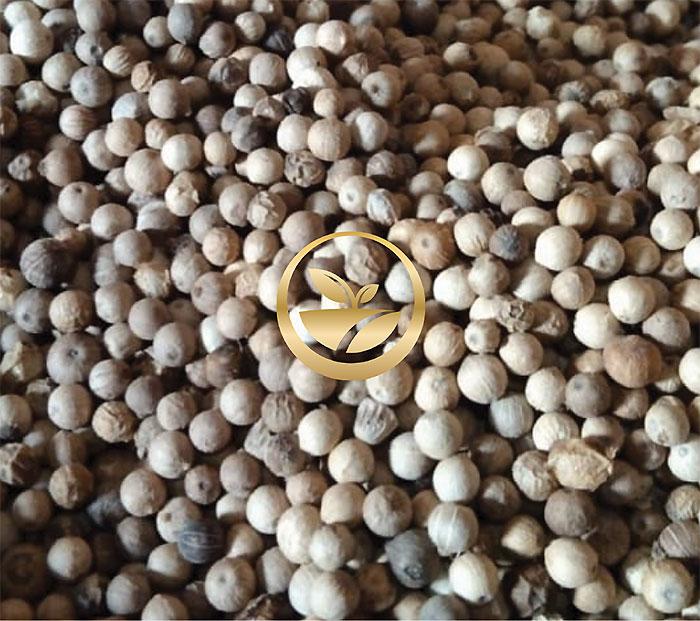 Solata Agro Indonesia