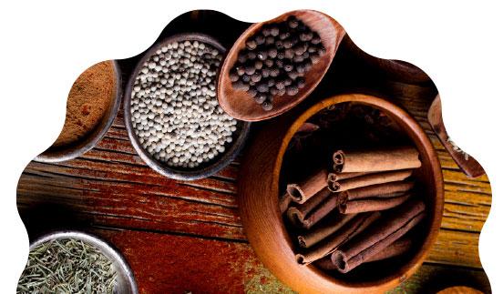 Trikarya Global Persada