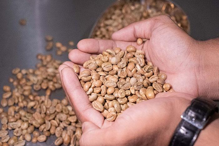 Milenial Agro Kopi Nusantara