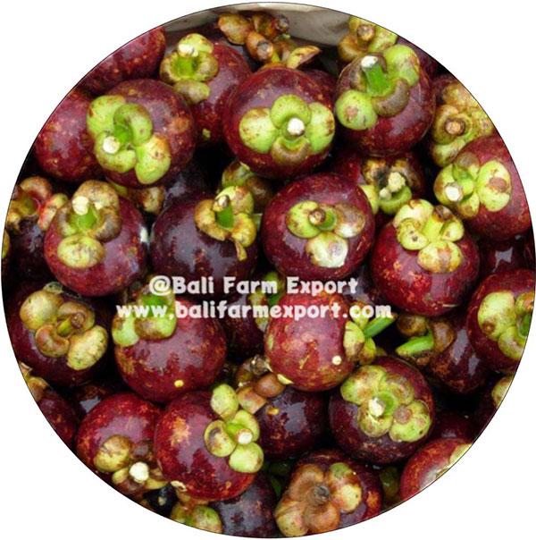 Bali Farm Export