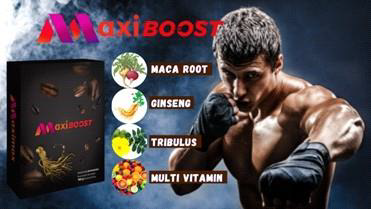 Maximax Sukses Makmur