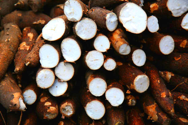 Fortune Agro Indonesia