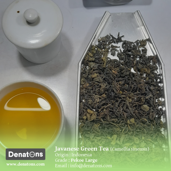 Java Green Tea - PT. Denatons Global Indonesia