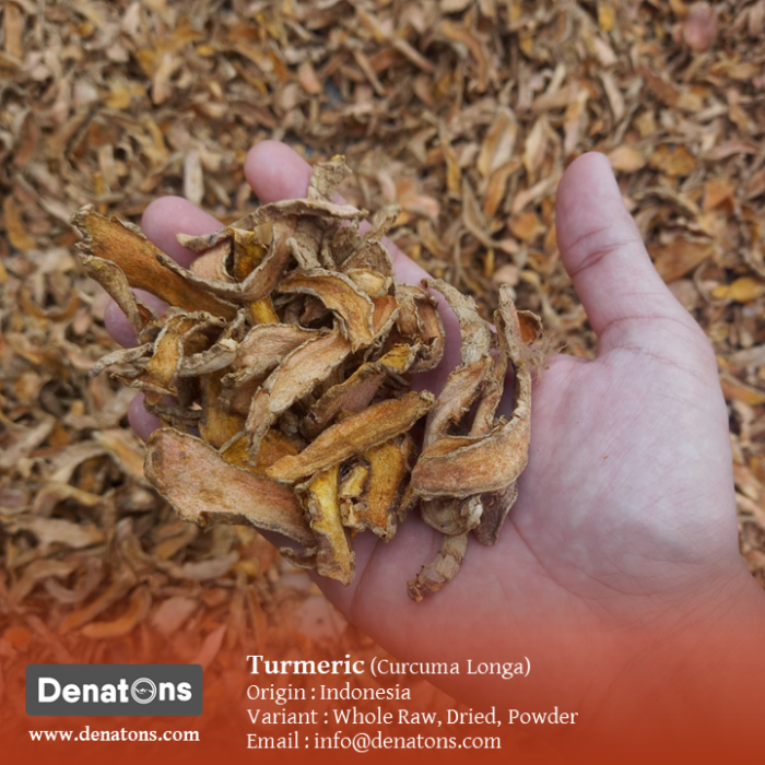 Turmeric - PT. Denatons Global Indonesia