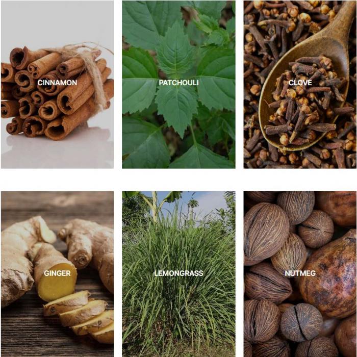 ESSENTIAL OIL - Cinnamon Oil, Patchouli Oil, Clove Oil, Ginger Oil, Lemongrass Oil, Nutmeg Oil