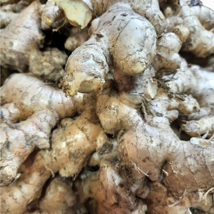 Ginger