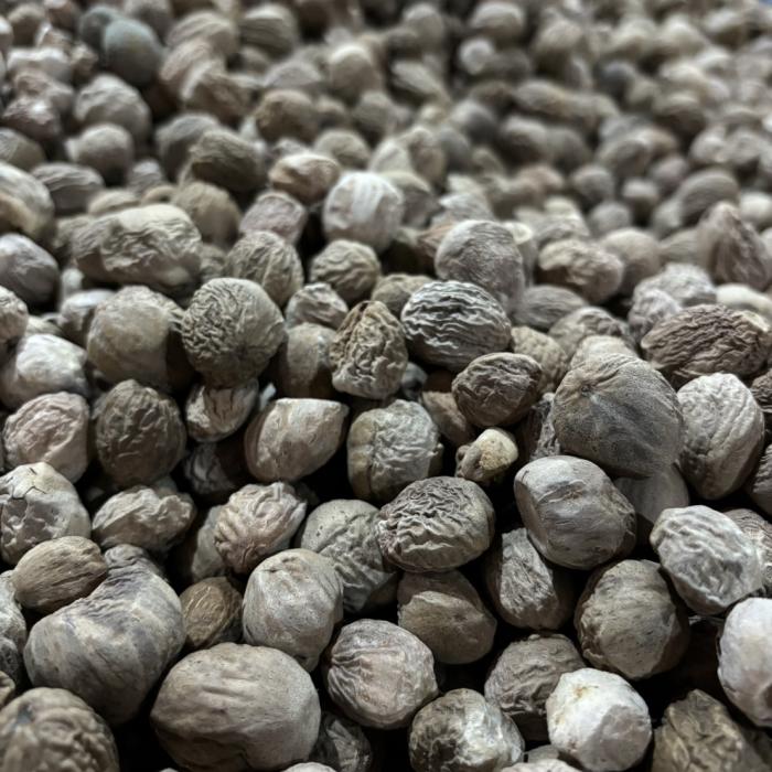 Nutmeg Whole SS (Shrivelled)