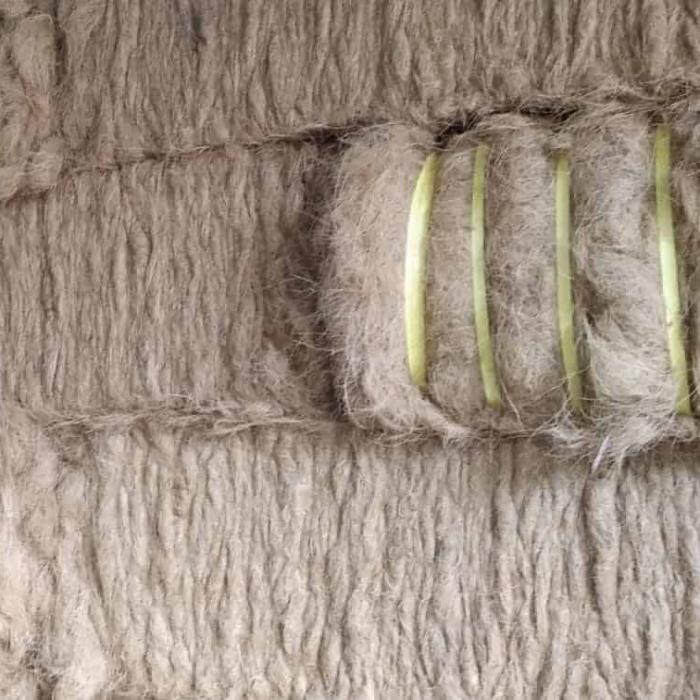 Coco Nusantara Mandiri