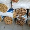 Ginger-PT. Denatons Global Indonesia