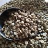 Coffee Beans Product