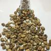 Robusta coffee beans