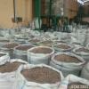 Arabica coffee beans