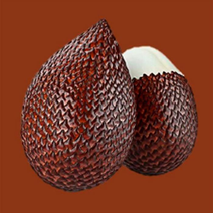 Patih Fruit Indonesia